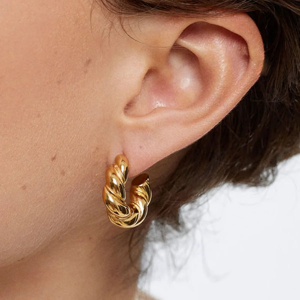 Alyssa Hoop Earrings (Bundle)